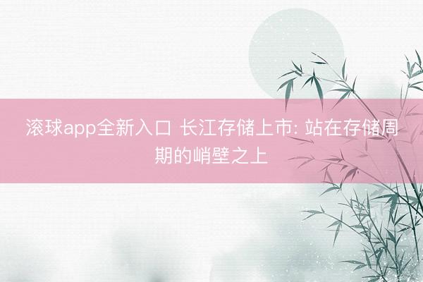 滚球app全新入口 长江存储上市: 站在存储周期的峭壁之上