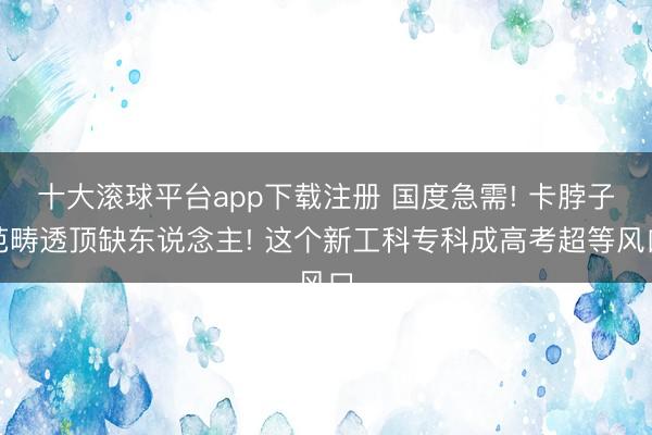 十大滚球平台app下载注册 国度急需! 卡脖子范畴透顶缺东说念主! 这个新工科专科成高考超等风口