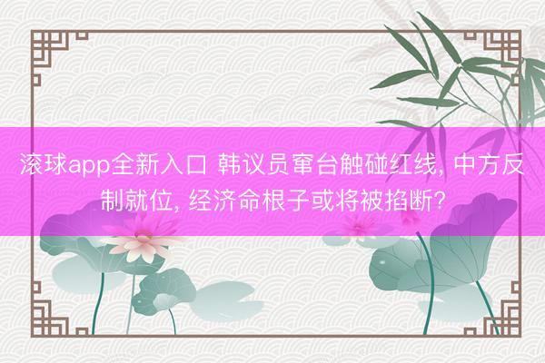 滚球app全新入口 韩议员窜台触碰红线, 中方反制就位, 经济命根子或将被掐断?