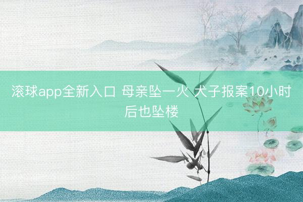 滚球app全新入口 母亲坠一火 犬子报案10小时后也坠楼
