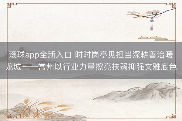 滚球app全新入口 时时岗亭见担当深耕善治暖龙城——常州以行业力量擦亮扶弱抑强文雅底色