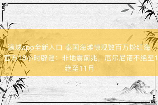 滚球app全新入口 泰国海滩惊现数百万粉红海参！官方18小时辟谣：非地震前兆，厄尔尼诺不绝至11月