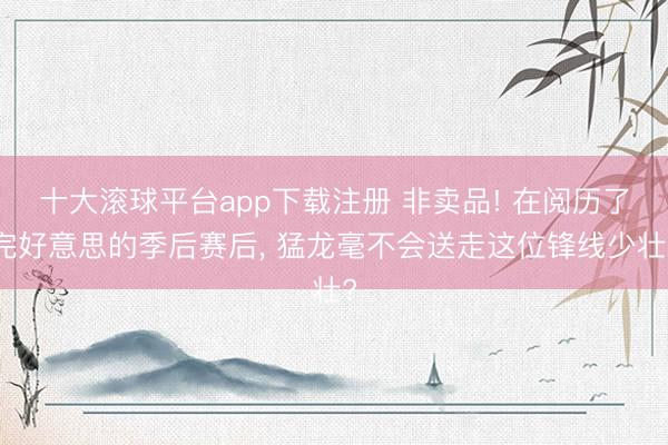 十大滚球平台app下载注册 非卖品! 在阅历了完好意思的季后赛后, 猛龙毫不会送走这位锋线少壮?