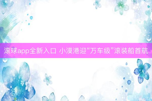 滚球app全新入口 小漠港迎“万车级”滚装船首航