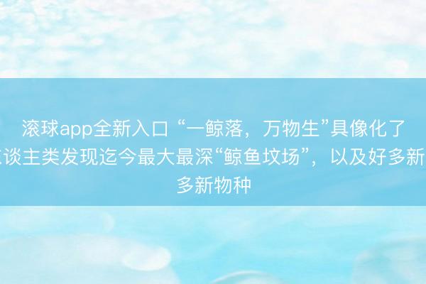 滚球app全新入口 “一鲸落，万物生”具像化了：东谈主类发现迄今最大最深“鲸鱼坟场”，以及好多新物种