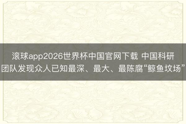 滚球app2026世界杯中国官网下载 中国科研团队发现众人已知最深、最大、最陈腐“鲸鱼坟场”