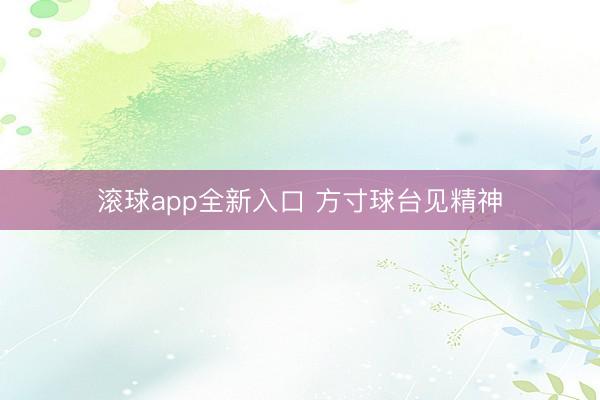 滚球app全新入口 方寸球台见精神