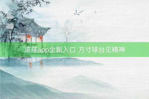 滚球app全新入口 方寸球台见精神