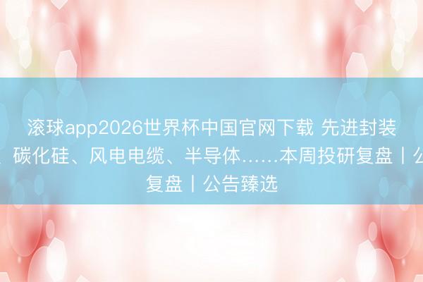 滚球app2026世界杯中国官网下载 先进封装、CPO、碳化硅、风电电缆、半导体……本周投研复盘丨公告臻选