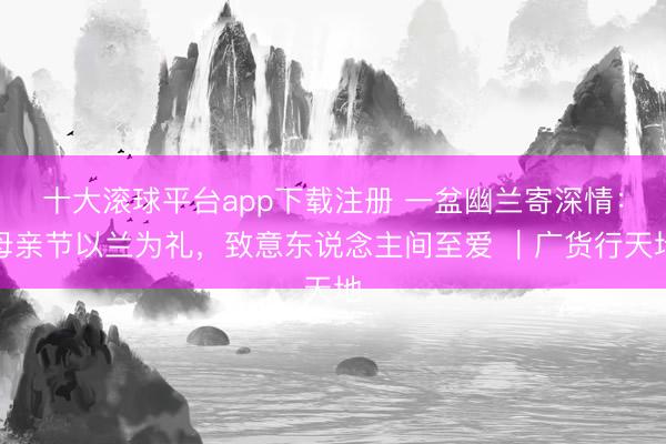 十大滚球平台app下载注册 一盆幽兰寄深情：母亲节以兰为礼，致意东说念主间至爱 ｜广货行天地